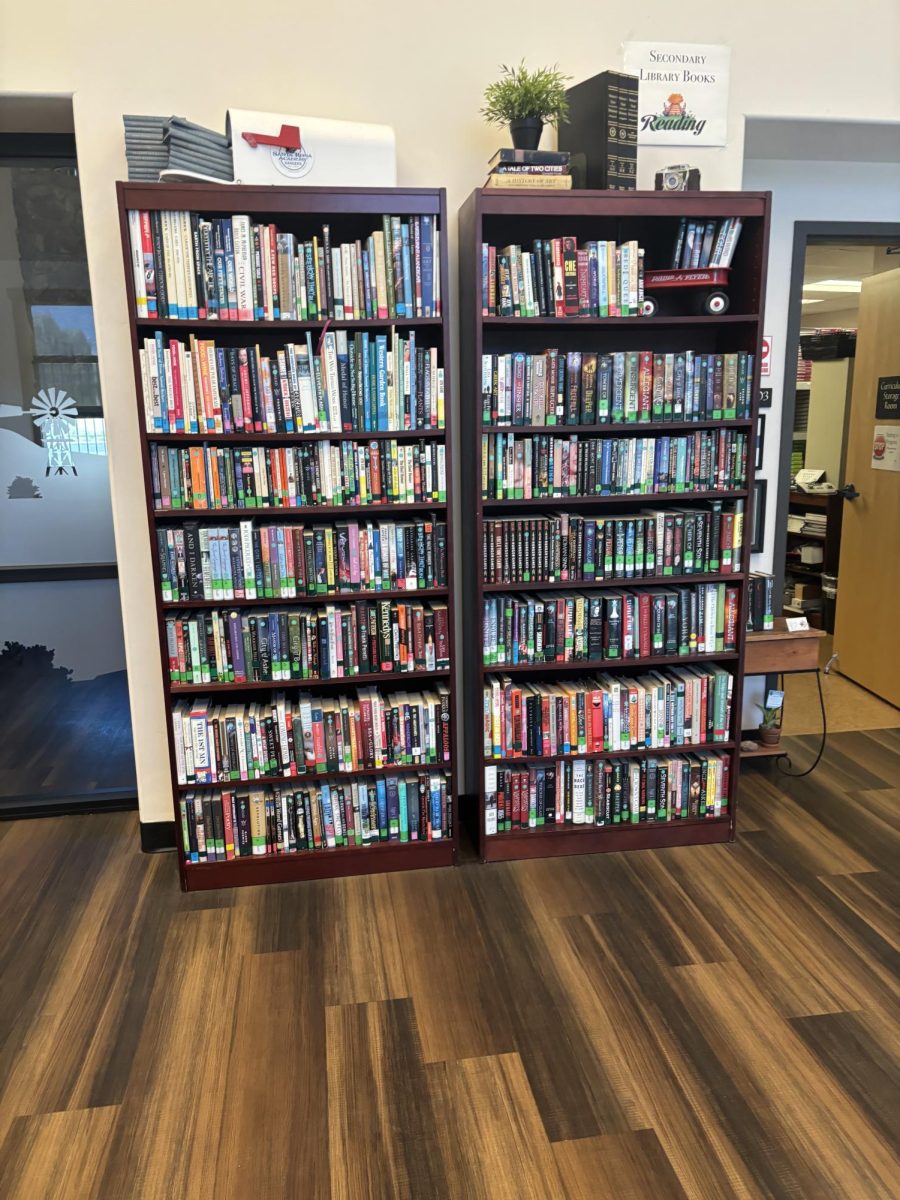 The only Young Adult books in the SRA Carmel Library.