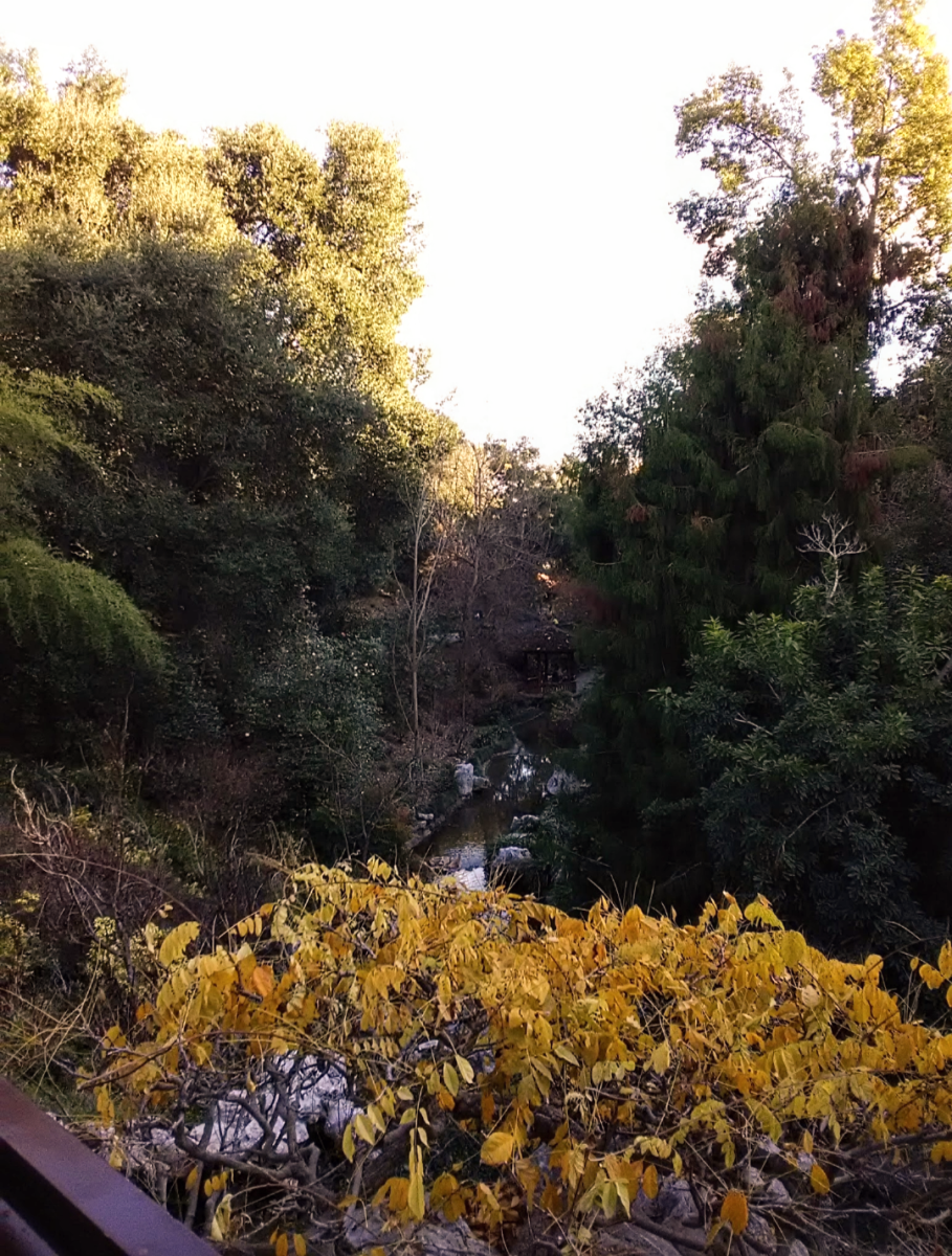 Taken on April 6, 2018, the landscape is located in the Japnese Gardens (Zone of the Huntington Gardens). This area has many elevated spots that look down at the river flowing through the dense foliage. 
