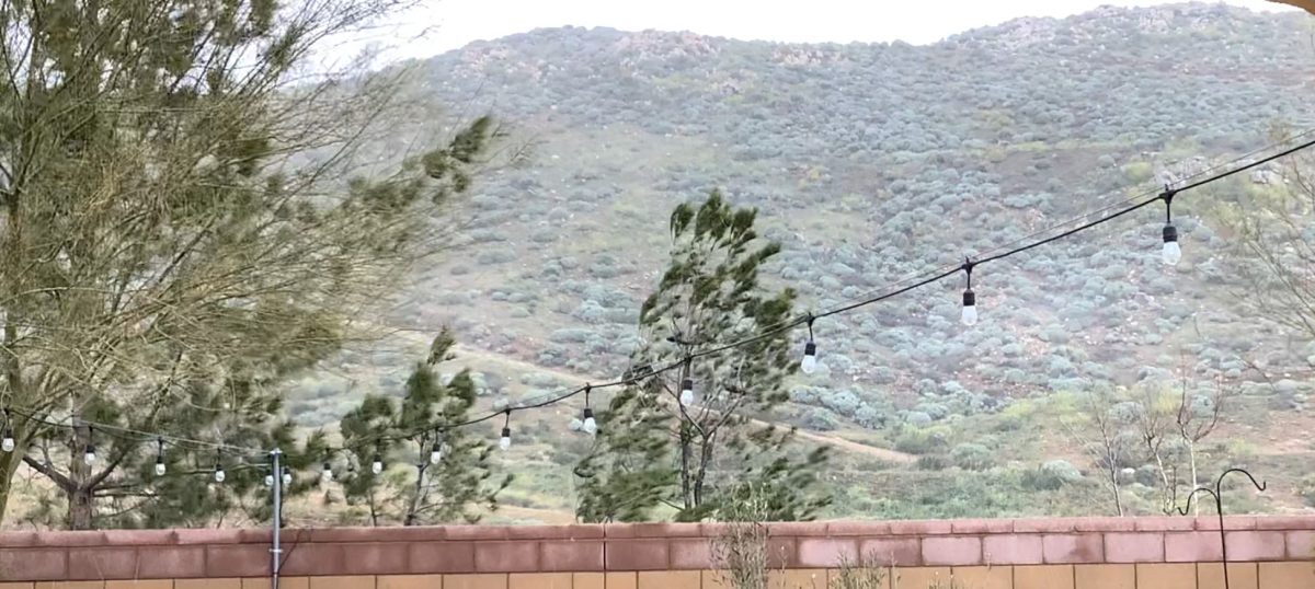 When it lightly snowed in Lake Elsinore and close by Menifee, on March, 1st, 2023. The wind was blowing the trees and the small amount of snow lasted around an hour to an hour and an half. It was quick and wasn't a lot of snow but it was really cool,
