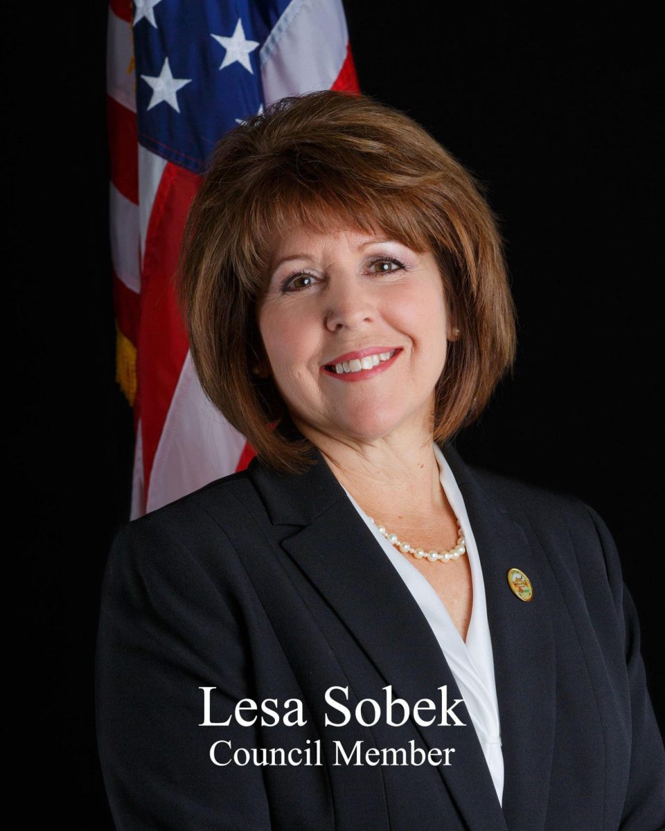 Lesa Sobek, a dedicated council member, poses for an official portrait with the American flag as the backdrop, symbolizing her commitment to public service. Her poised demeanor and warm smile reflect her approachable and professional nature. Sobek is recognized for her active involvement in community affairs and dedication to the interests of her constituents.