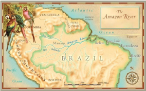 The Amazon River