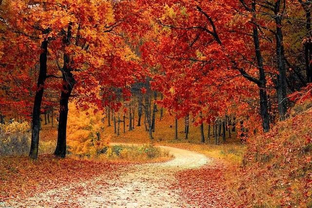 5 Fall Must-Dos